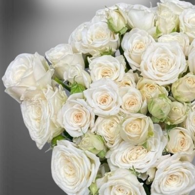 Květy superprémiových trsových růží White Yo-Yo od Fransen Roses