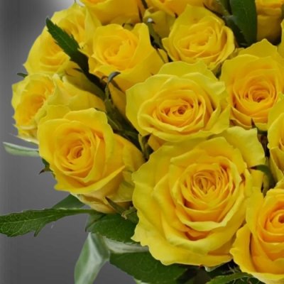 Žlutá řezaná růže Jackpot