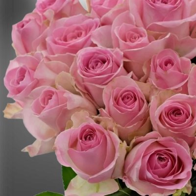 Světle růžové květy řezané růže Avalanche Sorbet od Holla Roses