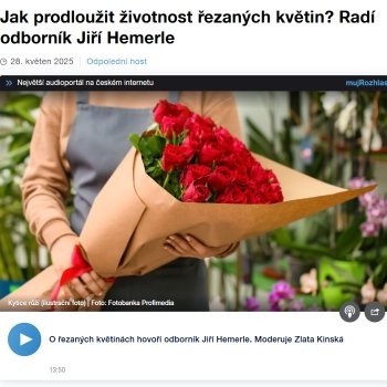 Rozhovor o květinách na vlnách Českého rozhlasu