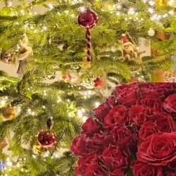 Vánoce 2025: Jak vybrat rudé růže, které vytvoří pravou sváteční atmosféru