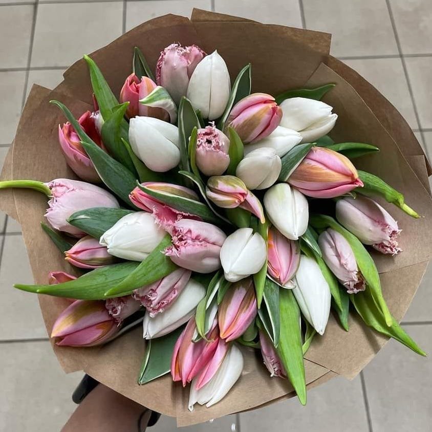 Průvodce výběrem tulipánů na Florea