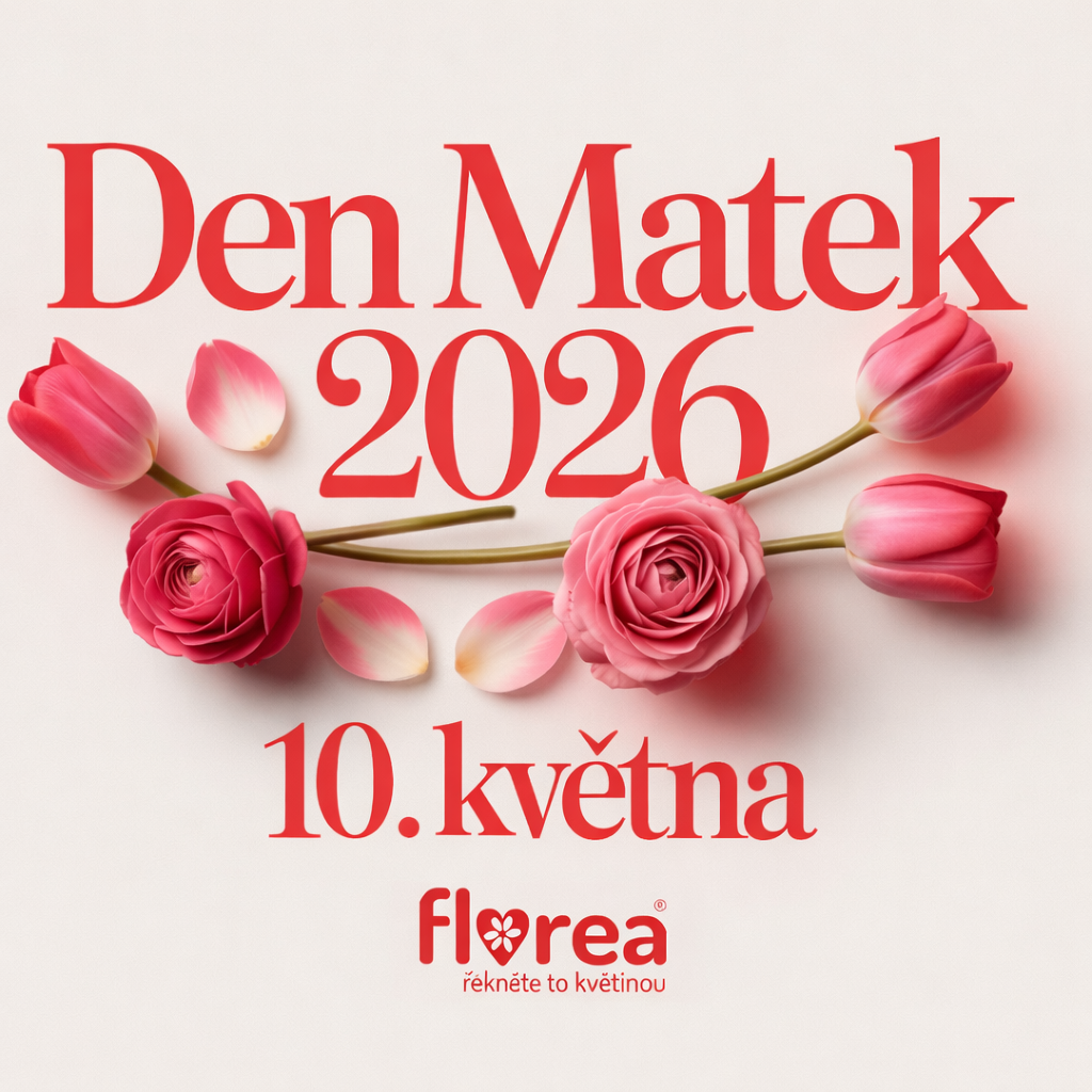 Den matek: Kdy je Den matek 2026 a jak popřát mamince?