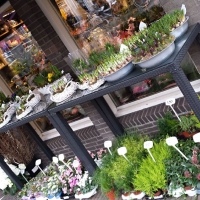 Prodej květin v Nizozemí