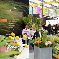 Výstava Flora Holland Trade 2013