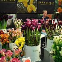 Výstava Flora Holland Trade 2013