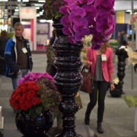 Výstava řezaných květin Flora Holland Fair 2014