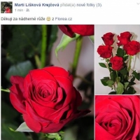 Kytička červených růží