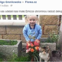 Kytička růží