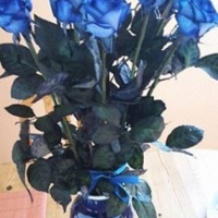 Kytice modrých růží