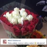 Kytice růží