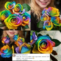 Kytička barevných růží