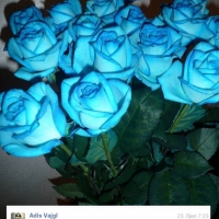 Kytice světle modrých růží