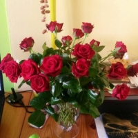 Kytice červených růží