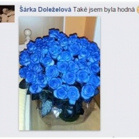 Kytice modrých růží