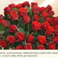 Pugét červených růží