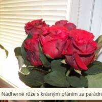 Kytička červených růží