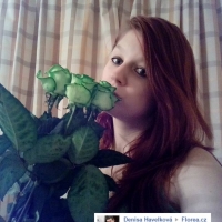 Kytička zelených růží