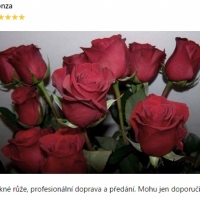 Kytička červených růží