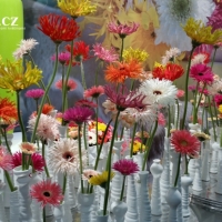 Výstava řezaných květin Flora Holland Fair 2015