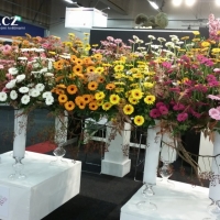 Výstava řezaných květin Flora Holland Fair 2015