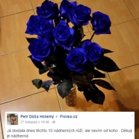 Kytička modrých růžiček
