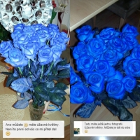 Kytička modrých růží