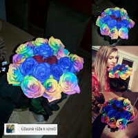 Různě barevná kytice růží