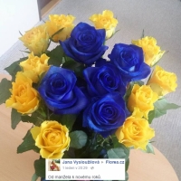 Žluto modrá kytička růží