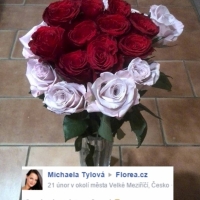 Pugét růží dvou barev