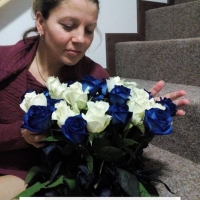 Pugét modro bílých růží