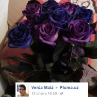 Kytička modro fialových růží