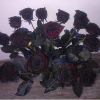 Pugét černých růží
