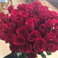 Kytice pro maminku k narozeninám - 50 růží Freedom doručných do Dolních Kounic