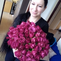 Doručení kytice 45 růží Blueberry do Kolína