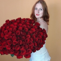 Kytice 100 růží