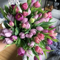 Míchaná kytice tulipánů podle přání zákaznice