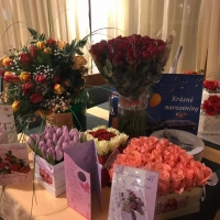 Velká oslava v Mohelnici, krabička tulipánů Candy price,Krabička růží červená HIPPOLYTE , krabička s Miss Piggy a růže Red Torch