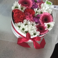 Doručení aukční květinové krabičky do Žďáru nad Sázavou