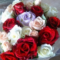 Doručení kytice o 22 ks růží do Volar (7ks El toro, 7 ks Medeo, 7 ks Aspen, 1 ks Pearl Violet)