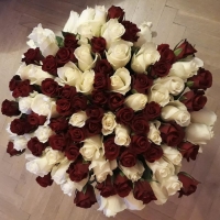 Kytice 100 růží