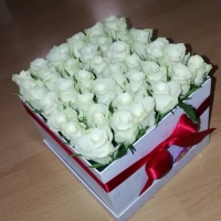 Doručená krabička růží Aspen