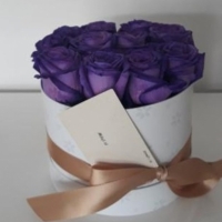 Krabička fialových růží