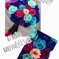 Barvené růže