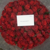 Kytice 100 červených růží se vzkazem