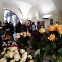 Výstava růží a tulipánů Florea v Karolinu 2019