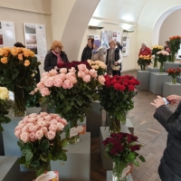 Výstava růží a tulipánů Florea v Karolinu 2019