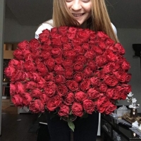 100 rudých růží Madam Red 70cm