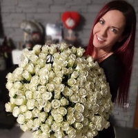 Kytice 100 bílých růží Aspen