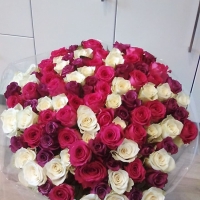 Kytice sto růží